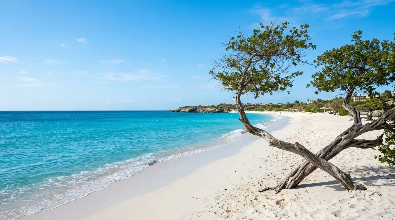 Aruba Onward Ticket Proof: ED Card and Exit Evidence